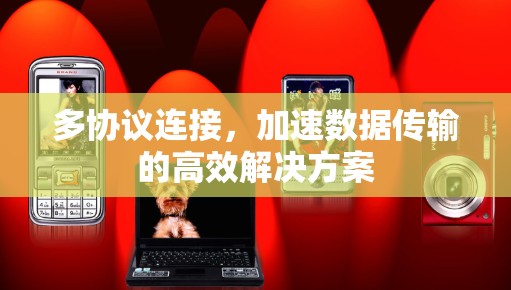 多协议连接，加速数据传输的高效解决方案