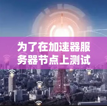 为了在加速器服务器节点上测试服务器的性能，您可以按照以下步骤进行操作
