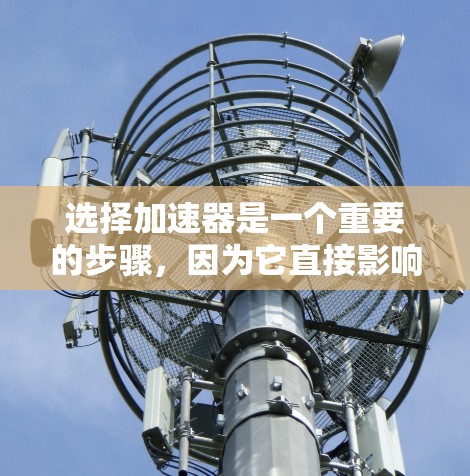 选择加速器是一个重要的步骤，因为它直接影响服务器的性能。以下是一个结构化的指南，帮助您选择适合的加速器
