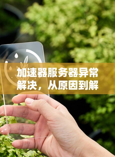 加速器服务器异常解决，从原因到解决方案