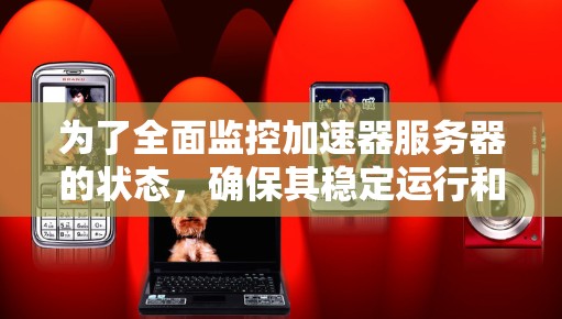 为了全面监控加速器服务器的状态，确保其稳定运行和安全，可以按照以下步骤进行