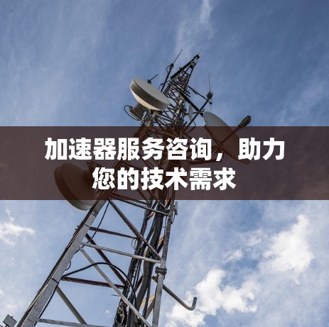 加速器服务咨询，助力您的技术需求