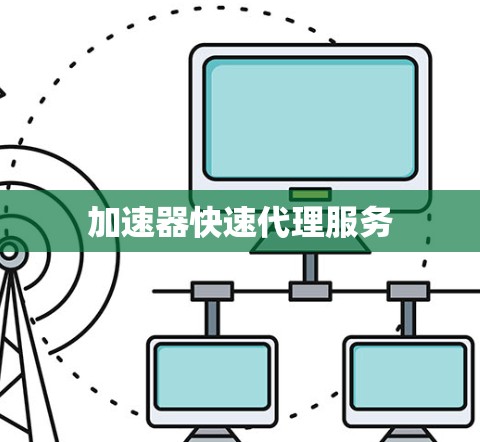 加速器快速代理服务