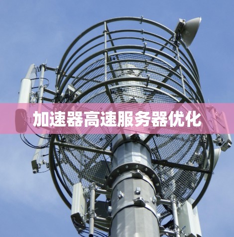 加速器高速服务器优化