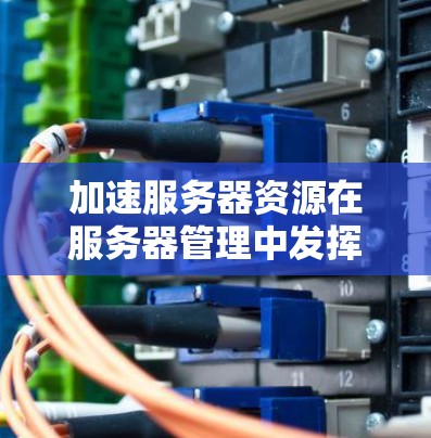 加速服务器资源在服务器管理中发挥着关键作用，帮助提升服务器的性能和效率。以下是对加速服务器资源的详细总结