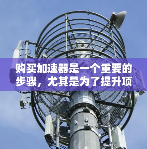 购买加速器是一个重要的步骤，尤其是为了提升项目运行速度。以下是一个有条理的总结，帮助您选择最适合的加速器
