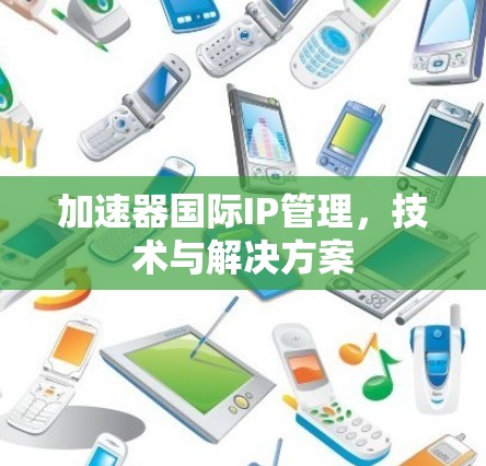 加速器国际IP管理，技术与解决方案