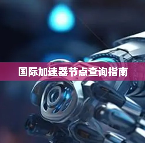 国际加速器节点查询指南