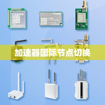 加速器国际节点切换