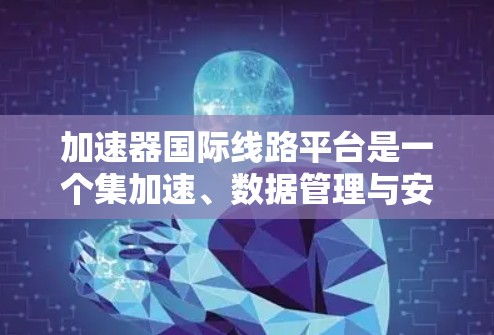 加速器国际线路平台是一个集加速、数据管理与安全于一体的综合平台，旨在为用户提供高效的数据加速服务。以下是其详细介绍