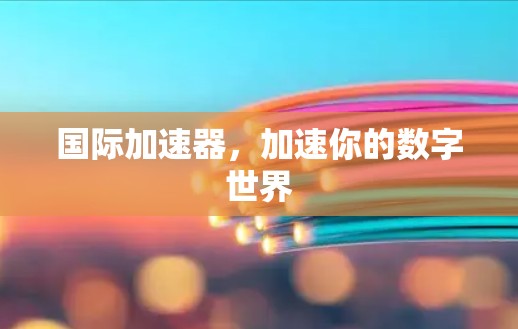 国际加速器，加速你的数字世界
