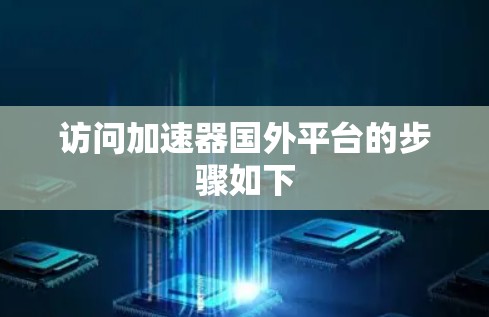访问加速器国外平台的步骤如下