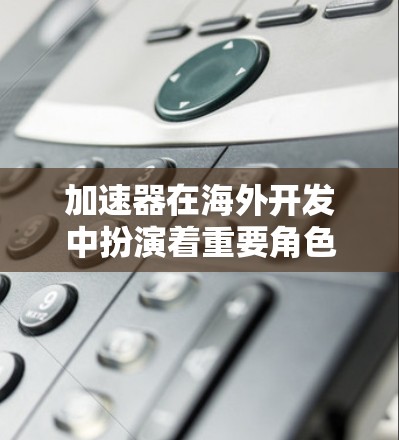 加速器在海外开发中扮演着重要角色，以下是对其发展和应用的详细分析
