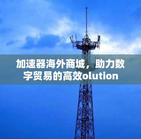 加速器海外商城，助力数字贸易的高效olution
