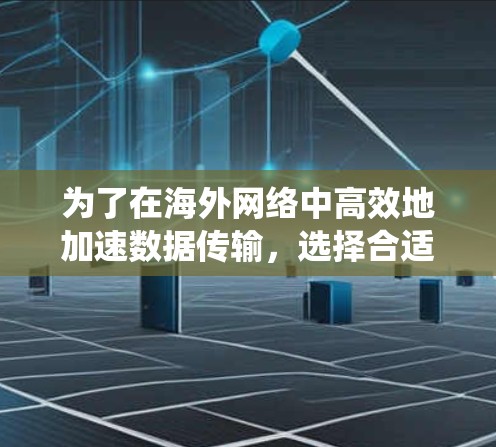 为了在海外网络中高效地加速数据传输，选择合适的加速器至关重要。以下是一个系统化的指南，帮助你找到最适合的加速器