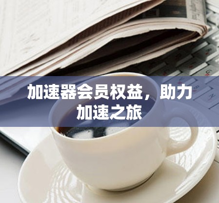 加速器会员权益，助力加速之旅