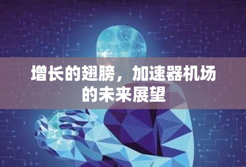 增长的翅膀，加速器机场的未来展望