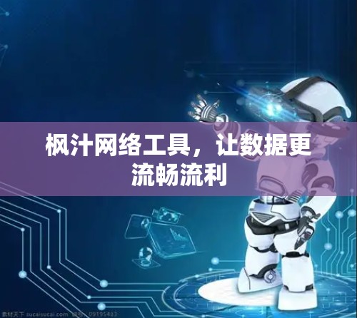 枫汁网络工具，让数据更流畅流利