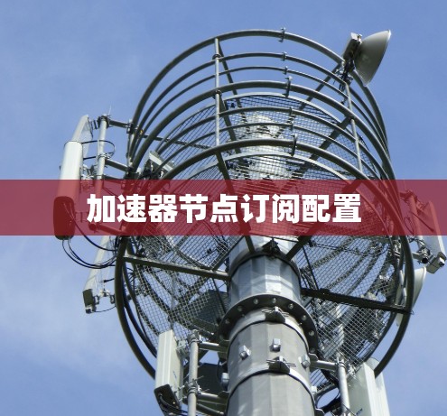 加速器节点订阅配置