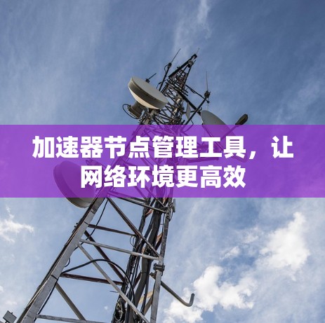 加速器节点管理工具，让网络环境更高效