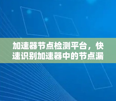 加速器节点检测平台，快速识别加速器中的节点漏洞