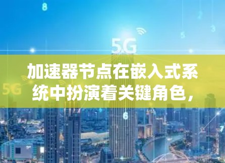 加速器节点在嵌入式系统中扮演着关键角色，用于加速嵌入式处理器的指令处理速度。以下是关于加速器节点的详细说明