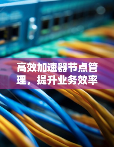高效加速器节点管理，提升业务效率的关键