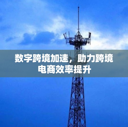 数字跨境加速，助力跨境电商效率提升