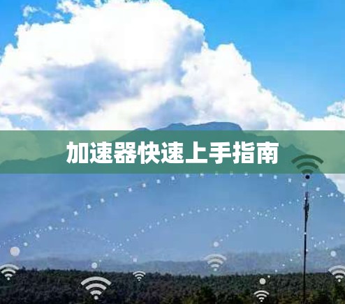 加速器快速上手指南