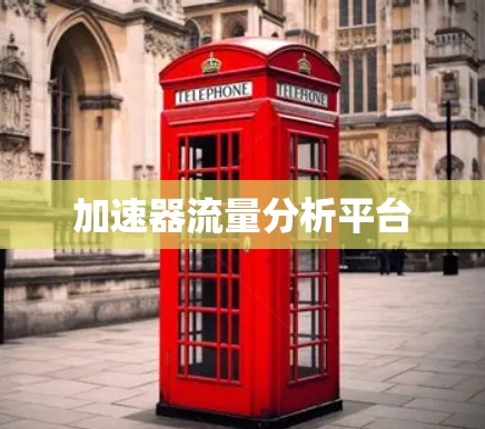 加速器流量分析平台