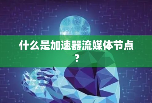 什么是加速器流媒体节点？