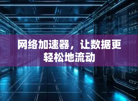 网络加速器，让数据更轻松地流动