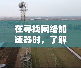 在寻找网络加速器时，了解免费服务的排行和特点可以帮助你更好地选择适合自己的解决方案。以下是一些常见的免费网络加速器及其特点
