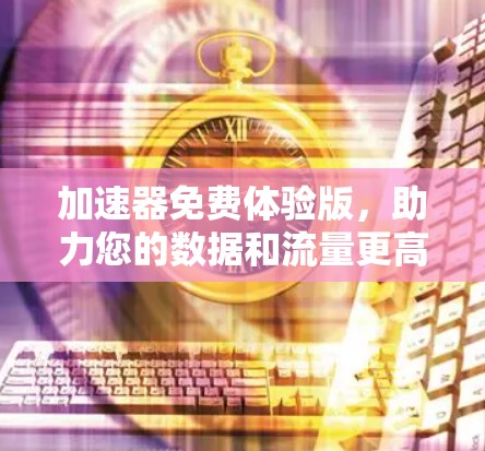 加速器免费体验版，助力您的数据和流量更高效