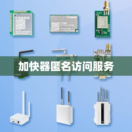 加快器匿名访问服务