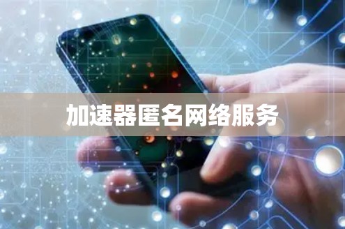 加速器匿名网络服务