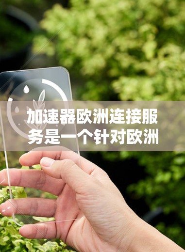 加速器欧洲连接服务是一个针对欧洲市场提供加速功能的解决方案，旨在帮助用户在不同网络环境和设备上高效访问网页和应用。以下是该服务的关键特点和实施步骤