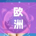 欧洲网络加速是一种针对欧洲国家或地区的网络加速服务，旨在通过优化网络连接速度，提升用户体验。以下是对该概念的详细分析和建议