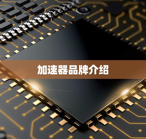 加速器品牌介绍