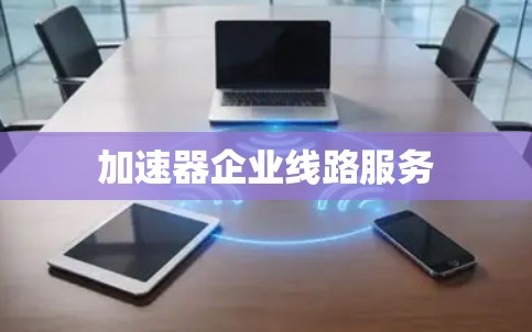 加速器企业线路服务