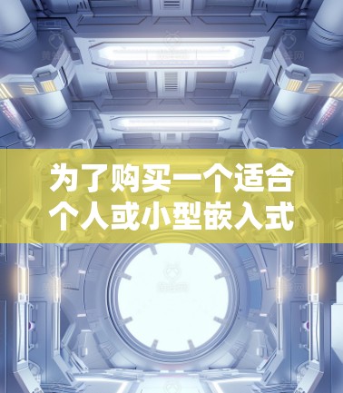 为了购买一个适合个人或小型嵌入式开发项目使用的轻量级加速器，以下是一个逐步的建议