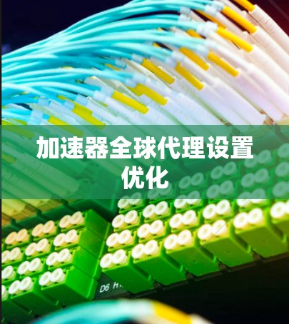 加速器全球代理设置优化