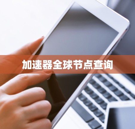 加速器全球节点查询