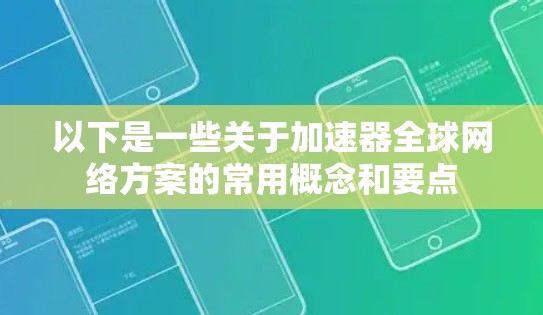 以下是一些关于加速器全球网络方案的常用概念和要点