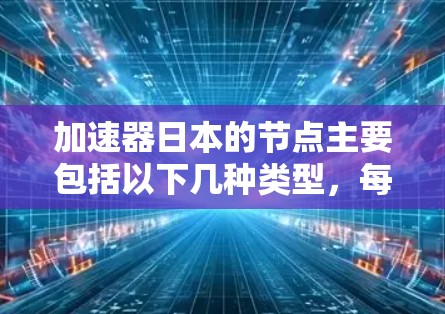 加速器日本的节点主要包括以下几种类型，每个类型各有其独特的功能和特色，适合不同用户的需求