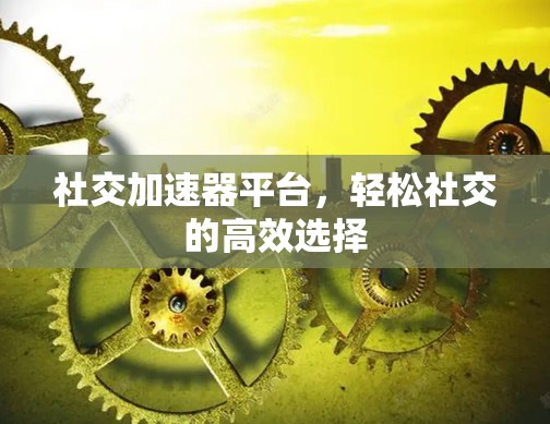 社交加速器平台，轻松社交的高效选择