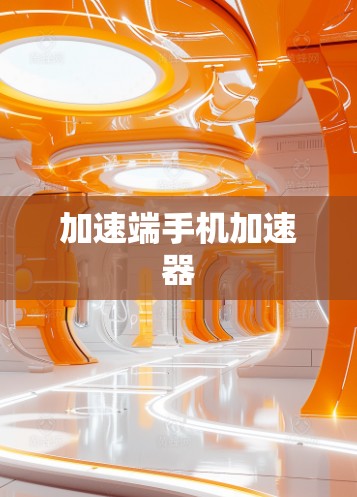 加速端手机加速器