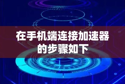 在手机端连接加速器的步骤如下