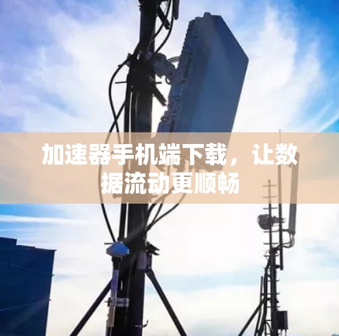 加速器手机端下载，让数据流动更顺畅