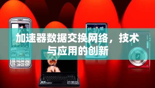 加速器数据交换网络，技术与应用的创新
